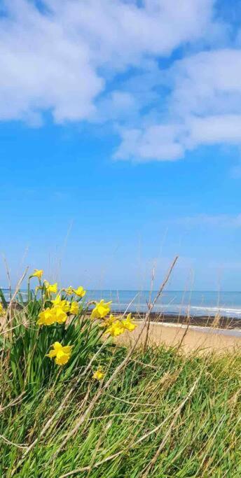 Herne Bay Central - 2 Minutes From Beach Apartment Екстериор снимка