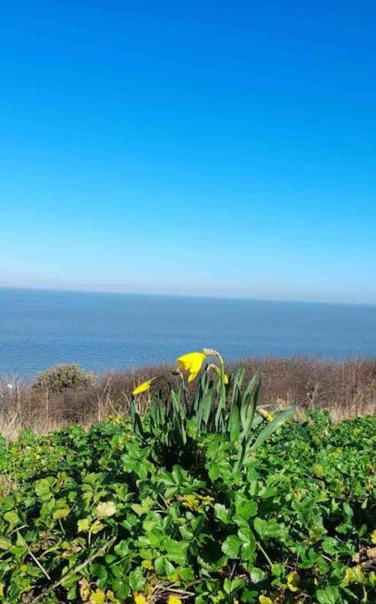 Herne Bay Central - 2 Minutes From Beach Apartment Екстериор снимка