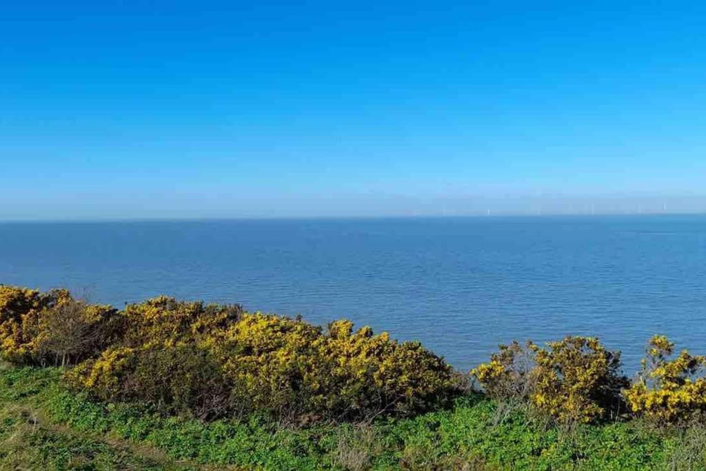 Herne Bay Central - 2 Minutes From Beach Apartment Екстериор снимка