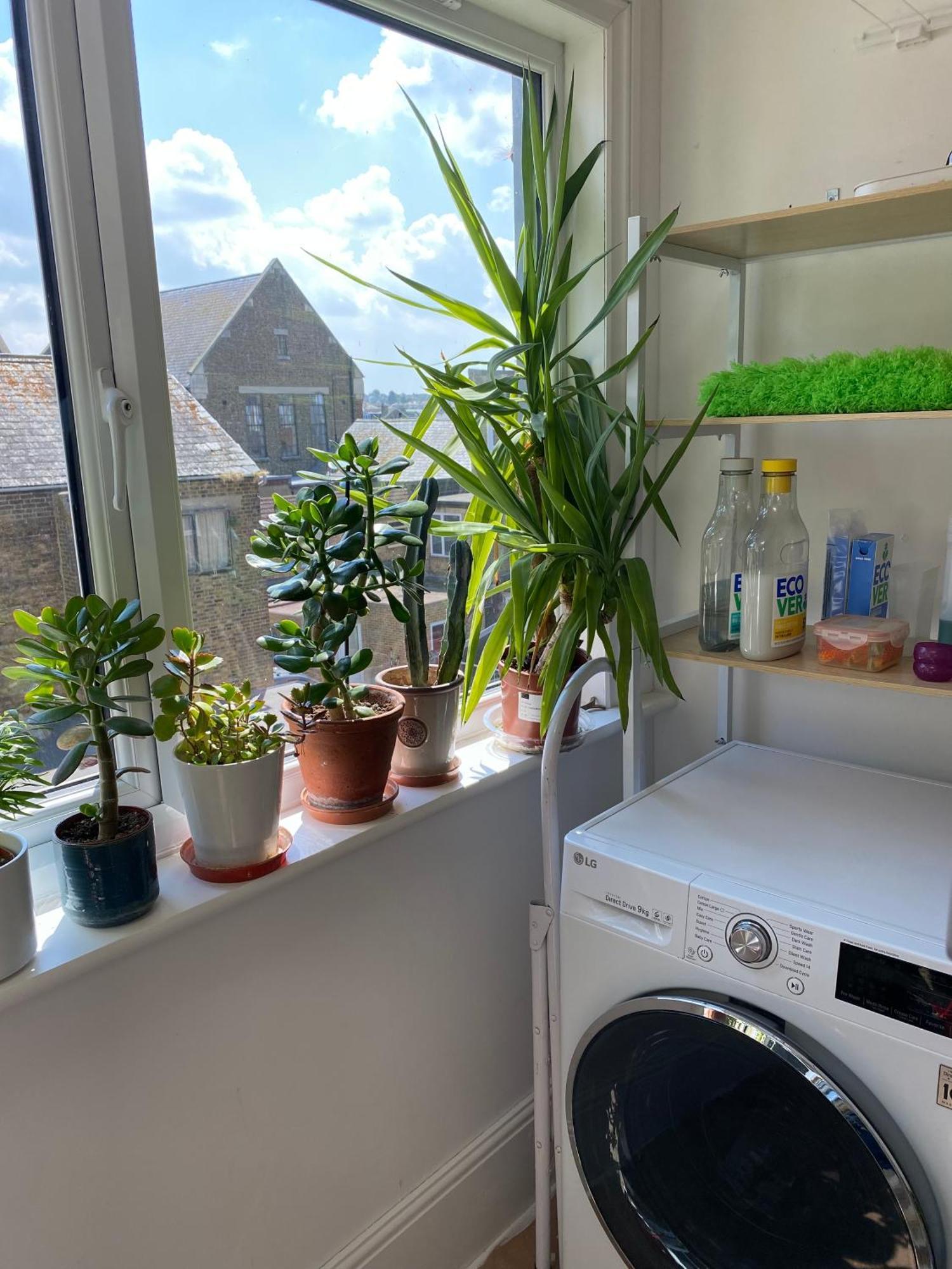Herne Bay Central - 2 Minutes From Beach Apartment Екстериор снимка